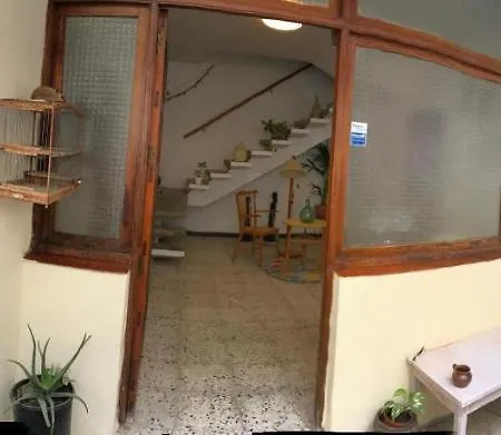 Studio In El Medano, With Enclosed Garden And Wifi - 100 M From The Beach *